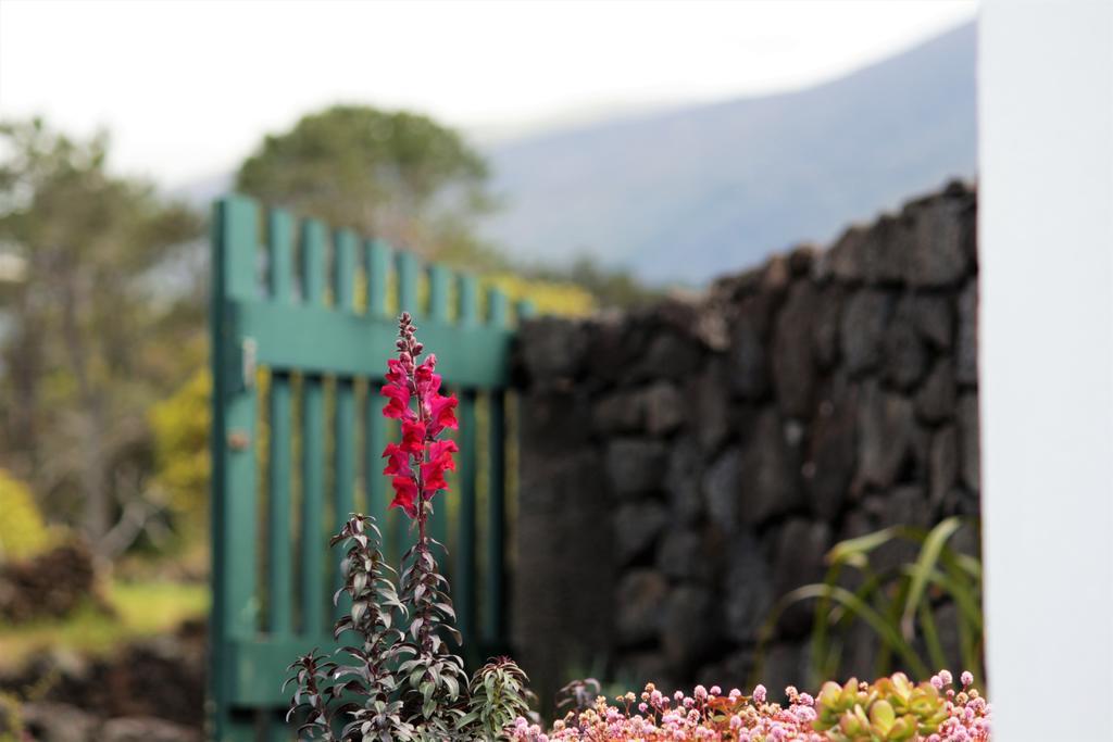 Villa Casa Do Paim São Roque do Pico Exterior foto